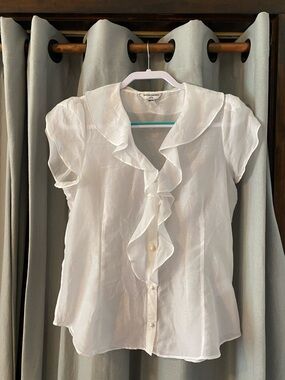 Elegant Banana Republic Sheer Silk/Cotton Blouse, Women’s Petite Medium